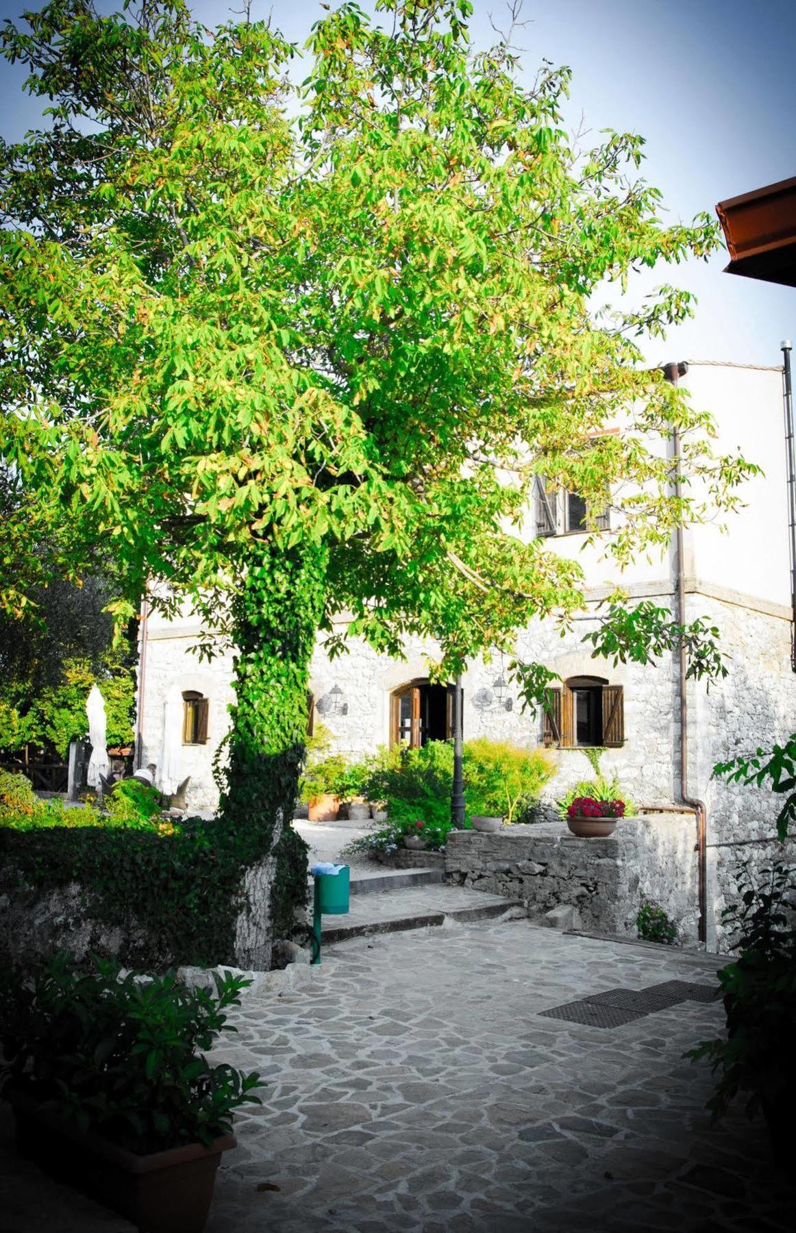 Agriturismo Sant'Agata ピアーナ・デッリ・アルバネージ エクステリア 写真